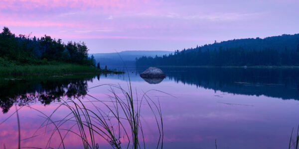 photographie-avec-une-belle-lumiere-rose-de-fin-de-journee-au-bord-de-lac